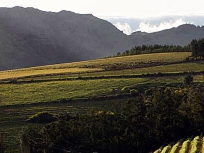 Mountain Cottages At Haskell Vineyard Stellenbosch Extérieur photo