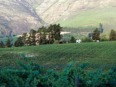Mountain Cottages At Haskell Vineyard Stellenbosch Extérieur photo